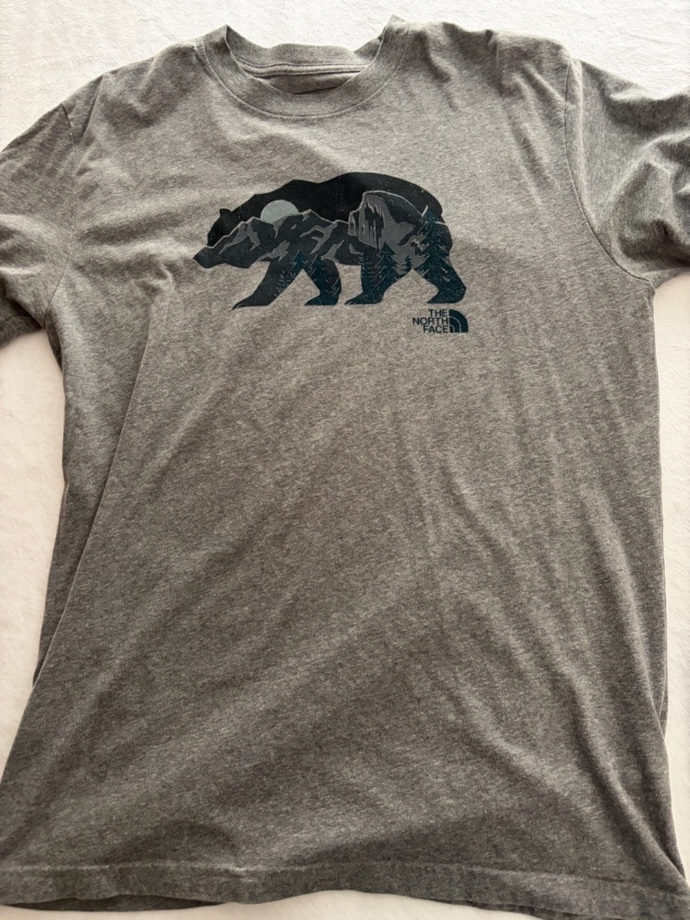 The North Face Men's Heather Gray Bear Graphic Tee